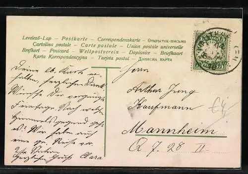 AK Engel vor Birke im Topf