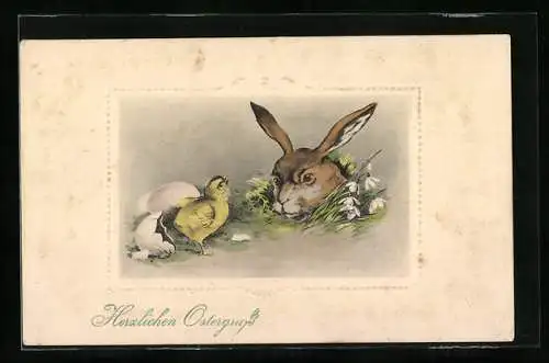 AK Osterhase schaut aus dem Boden raus