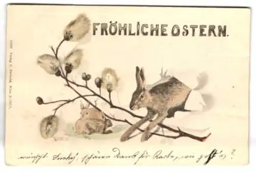 Trockenblumen-AK Ostergrusskarte, Osterhase springt über einen Zweig echter Weidenkätzchen