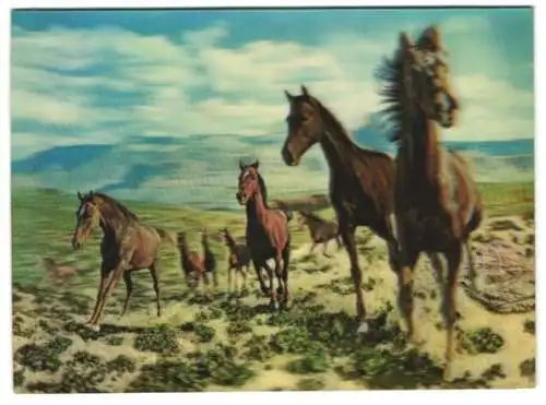 3D-AK Pferdeherde in einer Steppenlandschaft