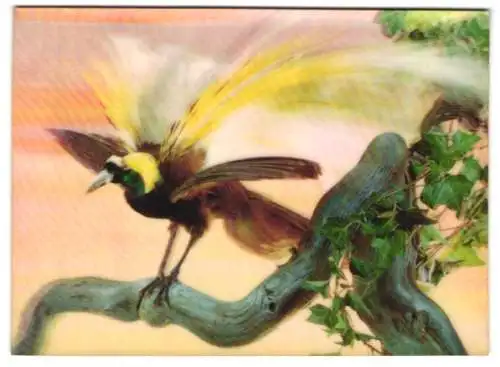 3D-AK Paradiesvogel auf einem Baum sitzend