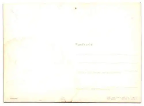 3D-AK Wildenten bei Abenddämmerung