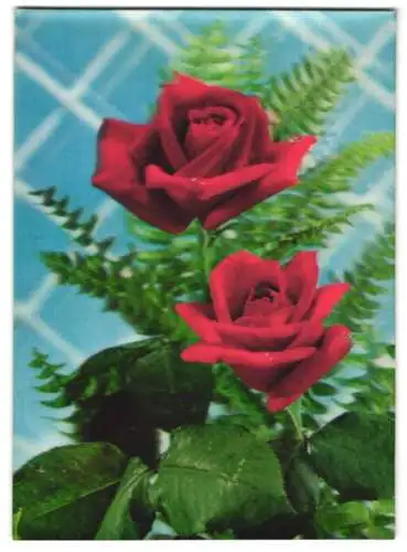 3D-AK Les Deux Roses