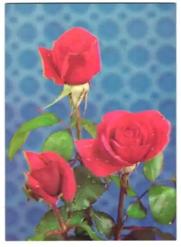 3D-AK Strauss mit blühenden roten Rosen