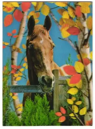 3D-AK Pferd schaut über den Zaun