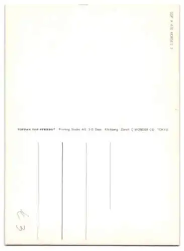 3D-AK Pferd schaut über den Zaun