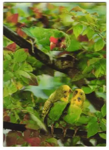 3D-AK Papageien auf einem Baumast