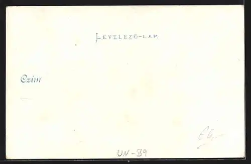 AK Budapest, Blick auf die Franz Josef Brücke