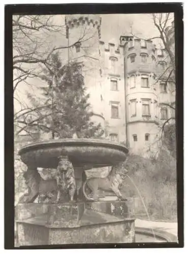 Fotografie W. Apel, Berlin, Ansicht Schwangau, Schloss Hohenschwangau mit Brunnen