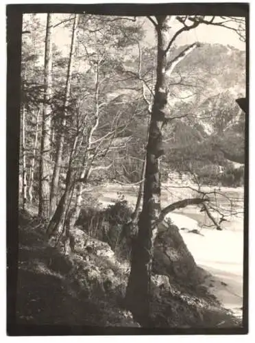 Fotografie W. Apel, Berlin, Ansicht Grainau, Eibsee am Fusse der Zugspitze