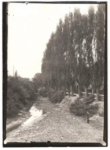 Fotografie W. Apel, Berlin, Ansicht Weikersheim, Vorbach von Pappeln gesäumt