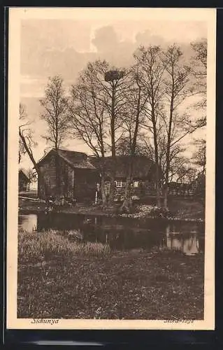 AK Sickunya, Storch-Idyll mit Teich