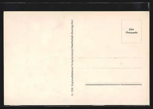 AK Braunlage, Villenviertel aus der Vogelschau