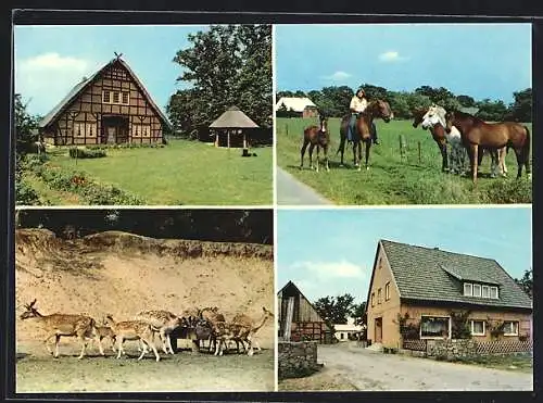 AK Trebel-Marleben, Reiterhof Klaucke mit Ferienwohnungen