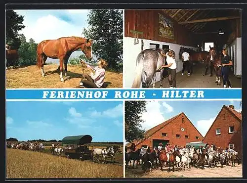 AK Lathen /Emsland, Ferienhof Rohe, Reiterhof