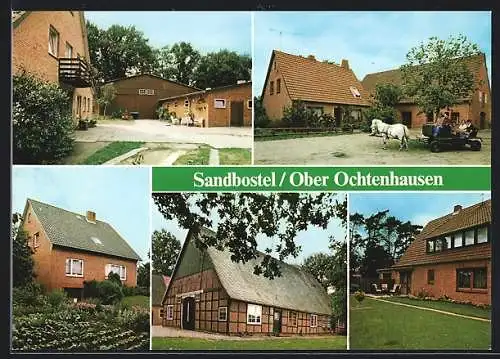 AK Sandbostel /Ober Ochterhausen, Bauernhaus, Pony mit Wagen