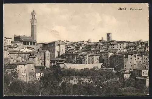 AK Siena, Panorama