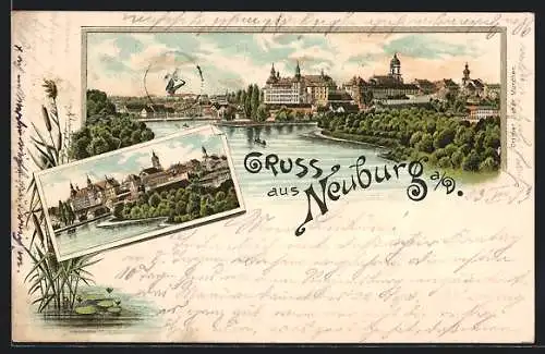 Lithographie Neuburg a. D., Ortspartie mit Brücke, Seerosen, Ortsansicht