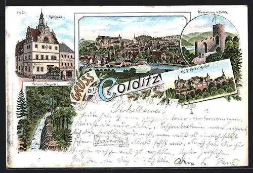 Lithographie Colditz, Kgl. S. Landes-Anstalt, Rathhaus, Ortsansicht