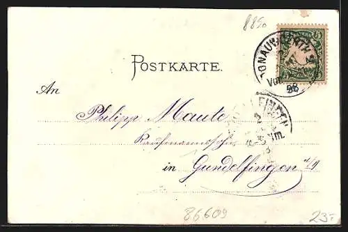 Lithographie Donauwörth, Gasthof zur Krone, Uferpartie