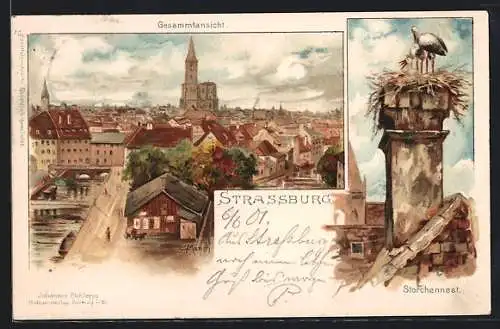 Künstler-AK Carl Münch: Strassburg, Teilansicht mit Münster, Storchennest