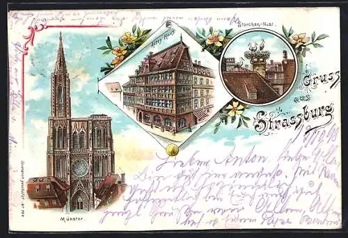 Lithographie Strassburg, Münster, Altes Haus und Storchennest