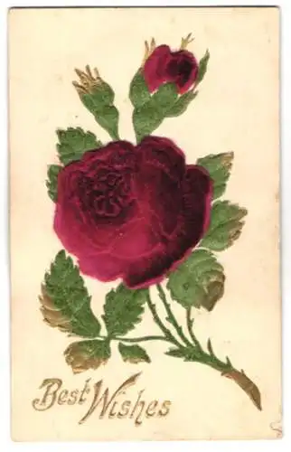Stoff-Präge-AK Knospen und rote Rose aus weichem Stoff