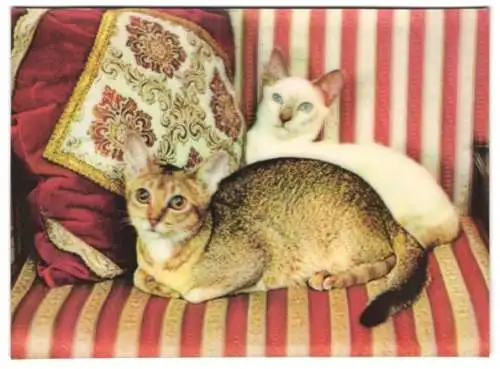 3D-AK Zwei Katzen auf einem Sessel