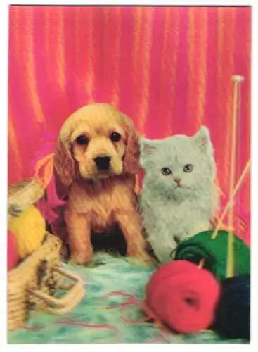 3D-AK Katze und Hund auf dem Bett