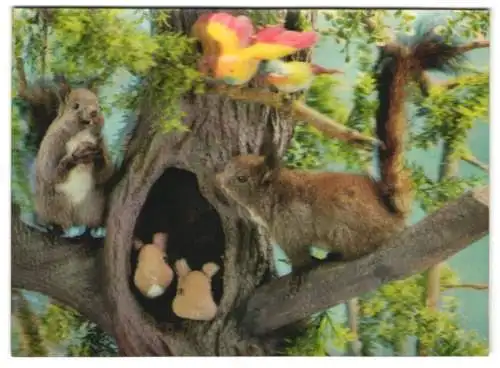 3D-AK Eichhörnchen und Vögel im Wald