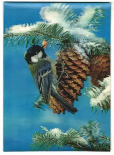 3D-AK Meise an einem Fichtenzapfen