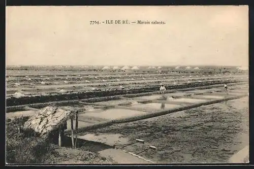 AK Ile de Ré, Marais salants