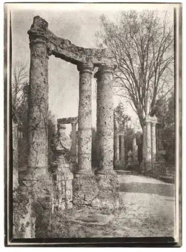 Fotografie W. Apel, Berlin, Ansicht Veitshöchheim, Ruinen im Hofgarten