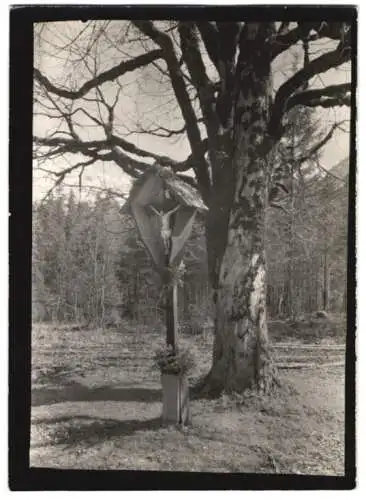 Fotografie W. Apel, Berlin, Ansicht Linderhof, Flurkreuz mit Jesusfigur