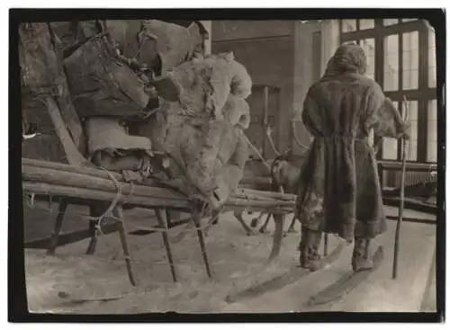 Fotografie W. Apel, Berlin, Ansicht München, Rentierschlitten im Deutschen Museum