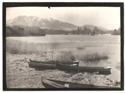 Fotografie W. Apel, Berlin, Ansicht Seehausen, Ruderboote am Staffelsee