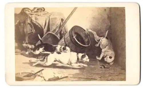 Fotografie unbekannter Fotograf und Ort, Gemälde: Rattenjagt, nach Lenfant de Metz, Hunde jagen Ratten