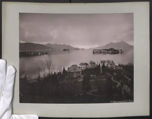 Fotografie Lichtdruck unbekannter Fotograf, Ansicht Lago Maggiore, Blick auf den See mit Inseln, les 3 Isles