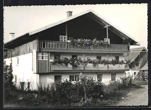 Foto-AK Lam, Bauernhaus 1966