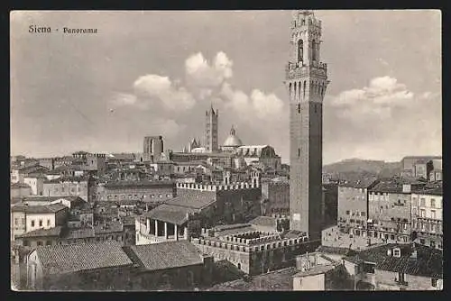 AK Siena, Panorama