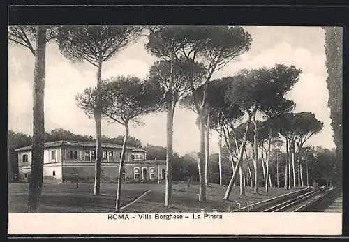 AK Roma, Villa Borghese, La Pineta