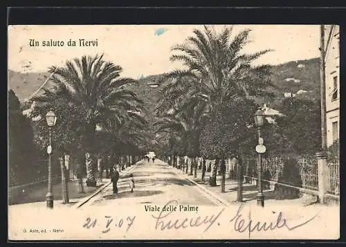 AK Nervi, Viale delle Palme