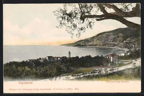 AK Ospedaletti, Vue entre les oliviers