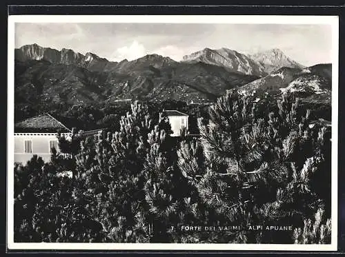 AK Forte dei Marmi, Panorama e Alpi Apuane