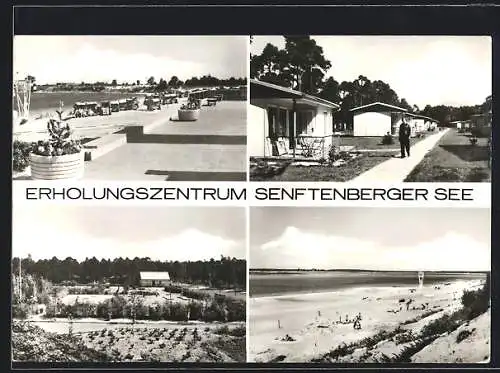 AK Senftenberg, Erholungszentrum Senftenberger See, Strandpromenade, Bungalows