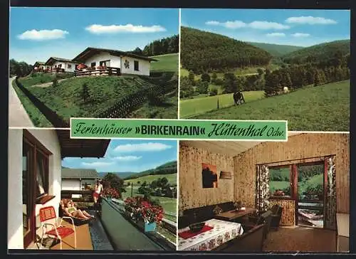 AK Hüttenthal /Odw., Ferienhäuser Birkenrain, Berglandschaft