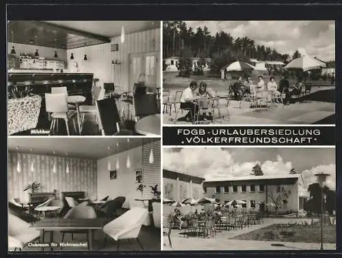 AK Klink / Müritz, FDGB-Urlaubersiedlung Völkerfreundschaft