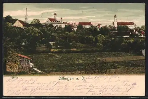 AK Dillingen a. D., Blick über Felder und Bäume auf den Ort