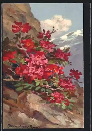 AK Rhododendron, Alpenrosen