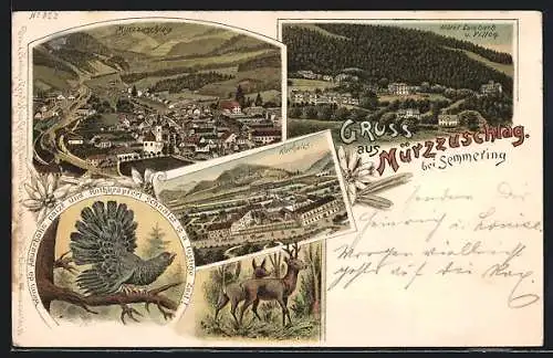 Lithographie Mürzzuschlag, Hotel Lambach u. Villen, Kurhaus, Totalansicht